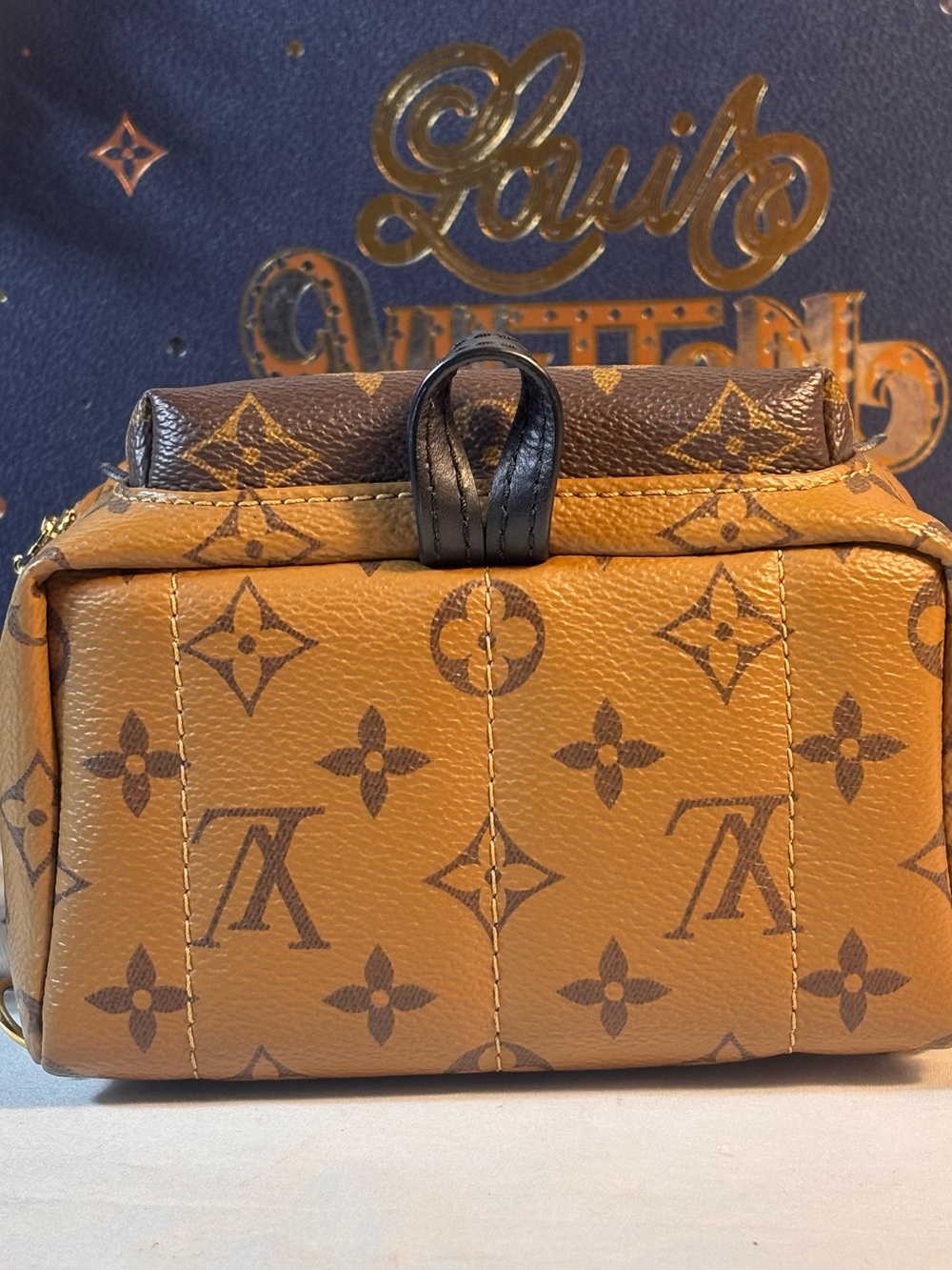 Louis Vuitton Reverse Palm Springs Mini - Picture 5 of 16